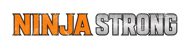 NS Logo